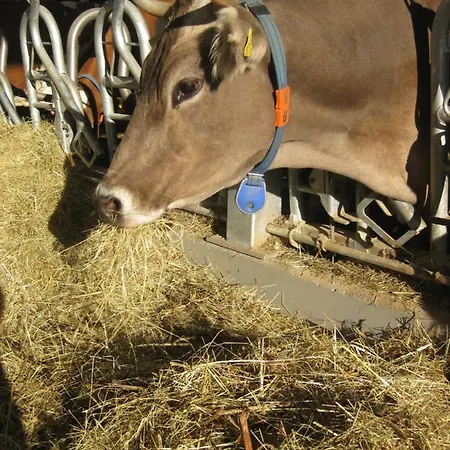 Jakobsbauernhof Apartman *