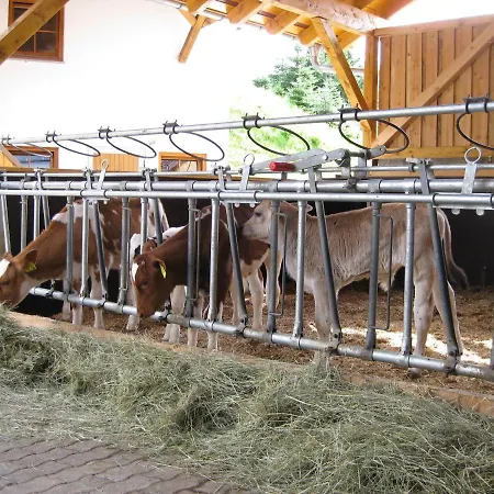 Jakobsbauernhof * Freiamt