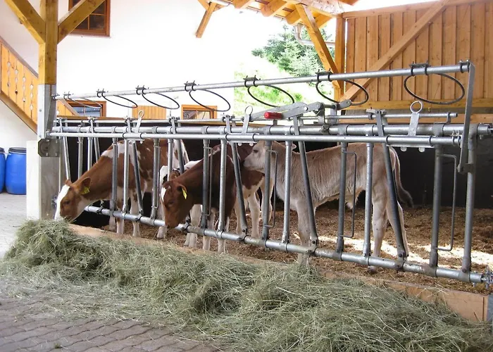 Jakobsbauernhof * Freiamt